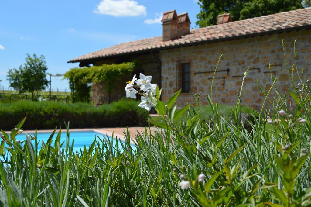 Agriturismo Eco-Bio Villa Vacasio Pitigliano Exterior foto