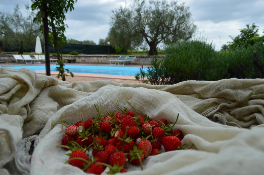 Agriturismo Eco-Bio Villa Vacasio Pitigliano Exterior foto