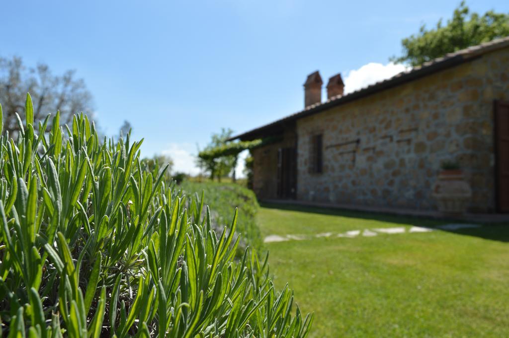 Agriturismo Eco-Bio Villa Vacasio Pitigliano Exterior foto