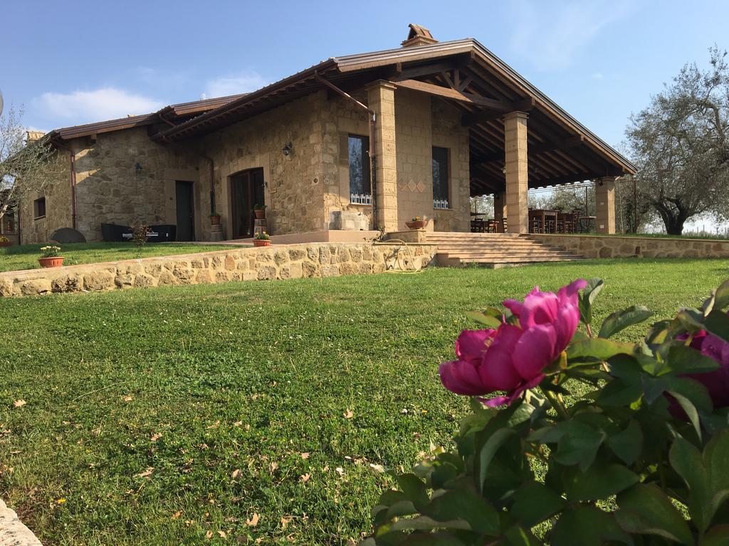 Agriturismo Eco-Bio Villa Vacasio Pitigliano Exterior foto