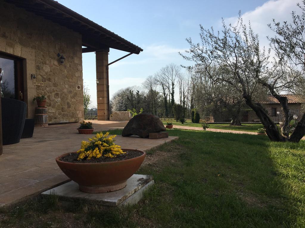 Agriturismo Eco-Bio Villa Vacasio Pitigliano Exterior foto